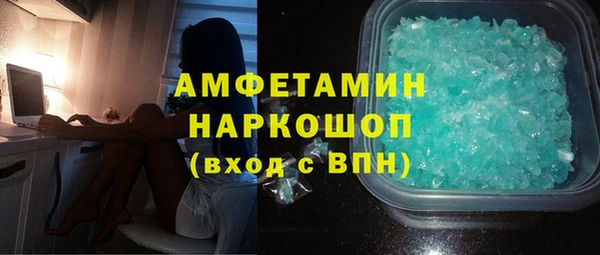 гидра Богданович