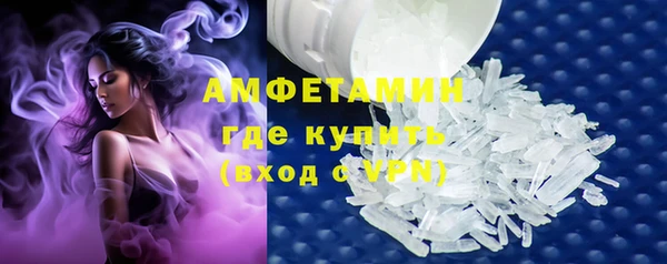 гидра Богданович