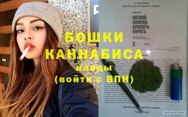 гидра Богданович