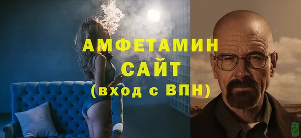 гидра Богданович