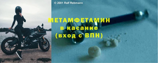 гидра Богданович
