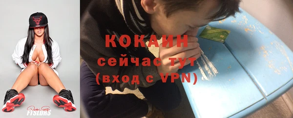 гидра Богданович