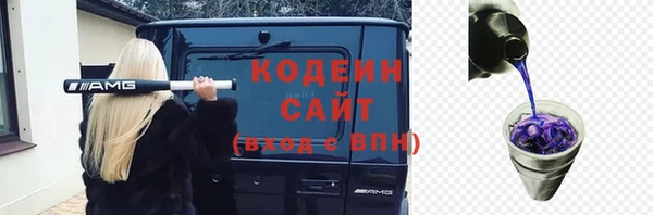 гидра Богданович