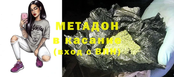 гидра Богданович