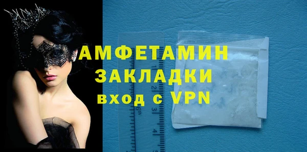 гидра Богданович